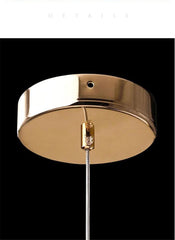 LED Ring Dazzling Pendant Light - Gold Oval Pair